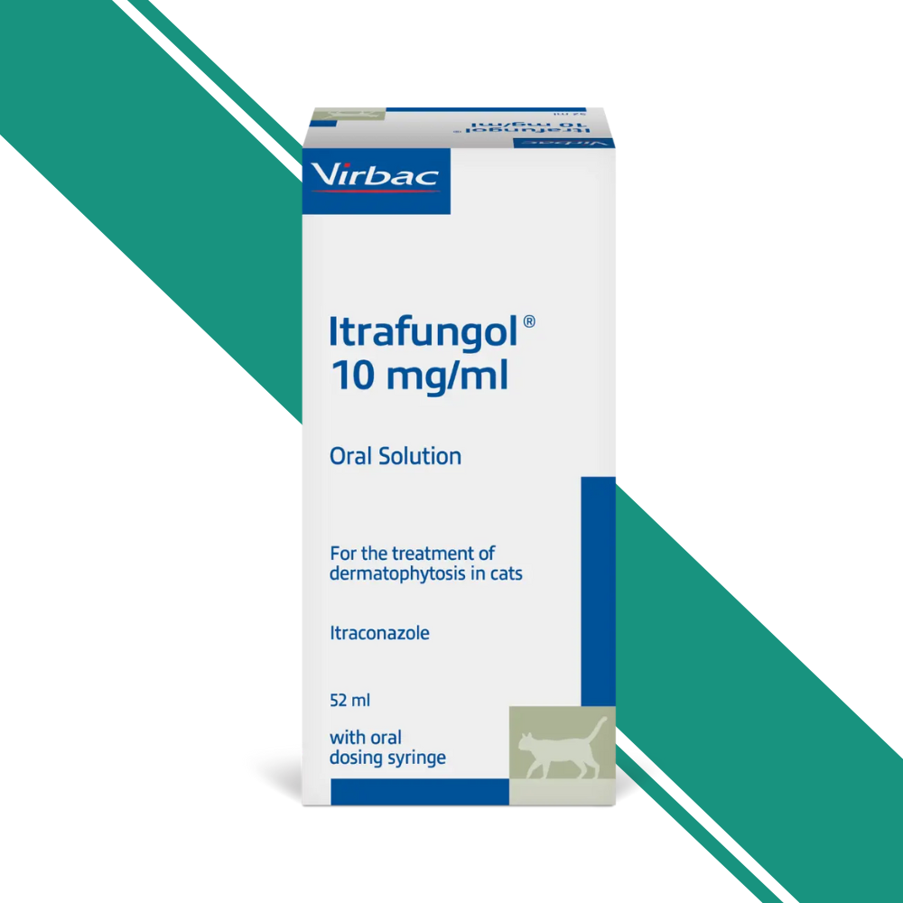 Itrafungol Oral Solution – 52ml